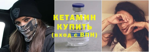 сатива Покачи