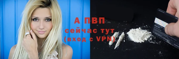 дмт Аркадак