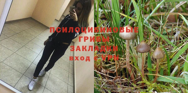 дмт Аркадак